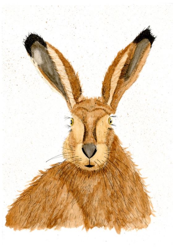 Hare watercolour and ink painting by Alan Taylor Art